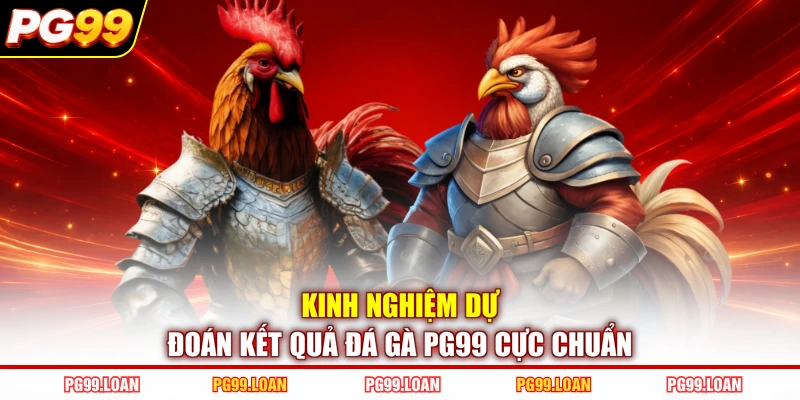 Kinh nghiệm dự đoán kết quả đá gà PG99 cực chuẩn