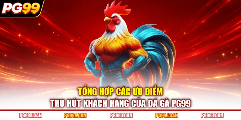 Tổng hợp các ưu điểm thu hút khách hàng của đá gà PG99